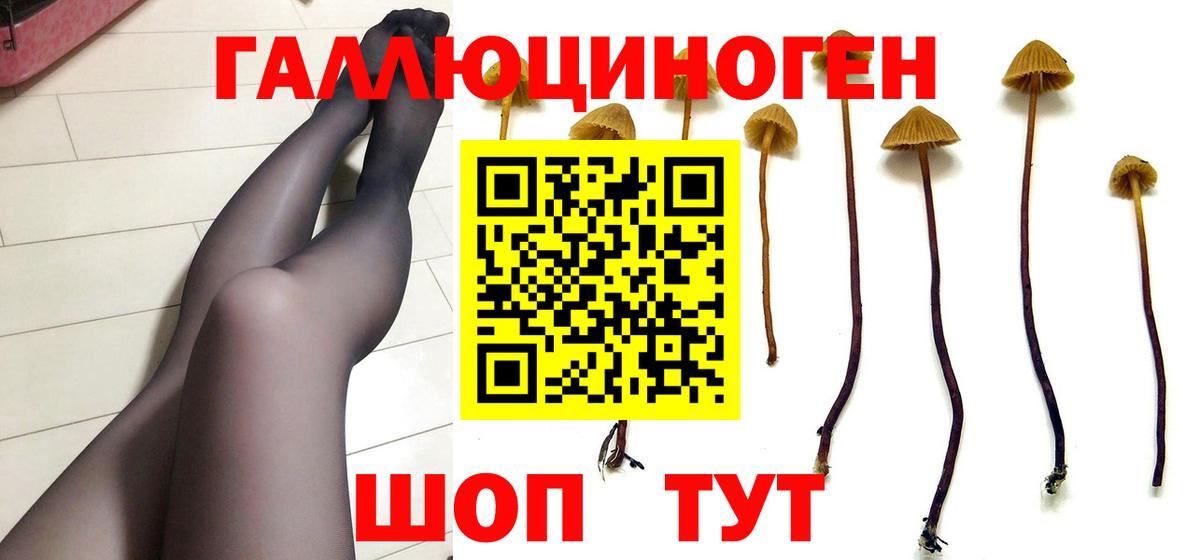 Псилоцибиновые грибы мицелий Рославль